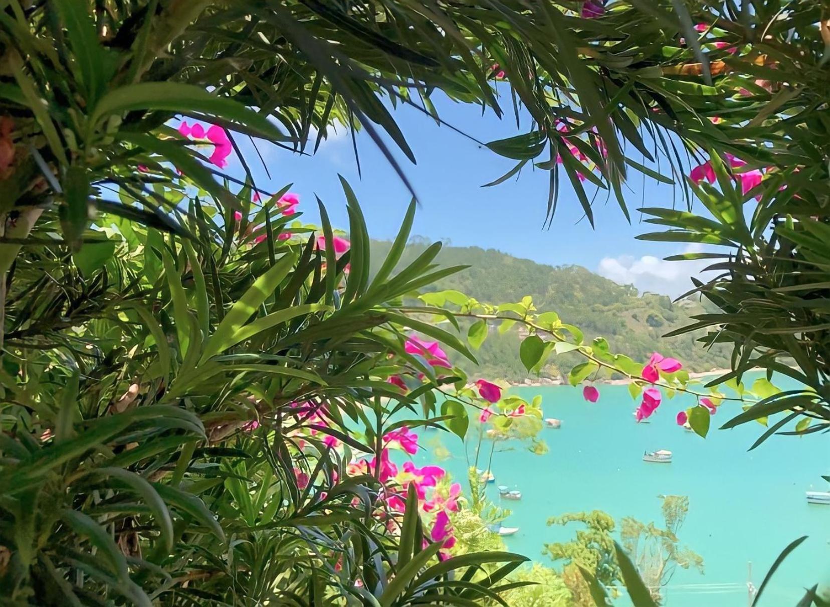 Mar De Bougainville Governador Celso Ramos Exteriér fotografie